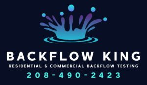 Backflow King photo 2