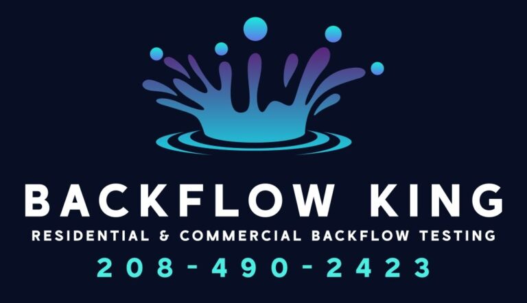 Backflow King photo 3